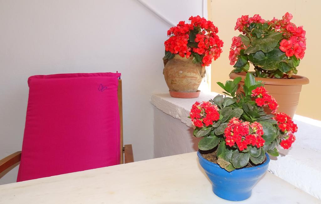 חאניה Anemones Rooms מראה חיצוני תמונה